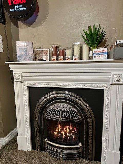 Valor Portrait Gas Fireplace DEMO SALE $700