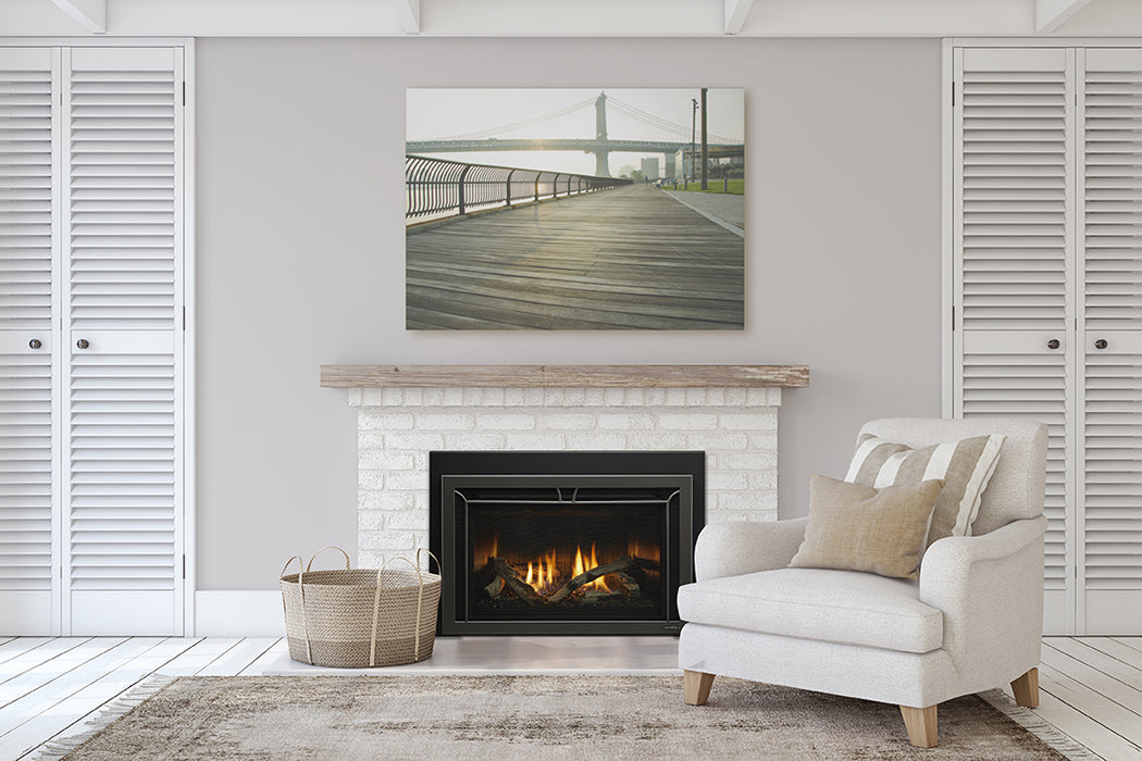 Heat & Glo Cosmo Gas Insert