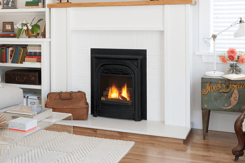 Valor Portrait Gas Insert