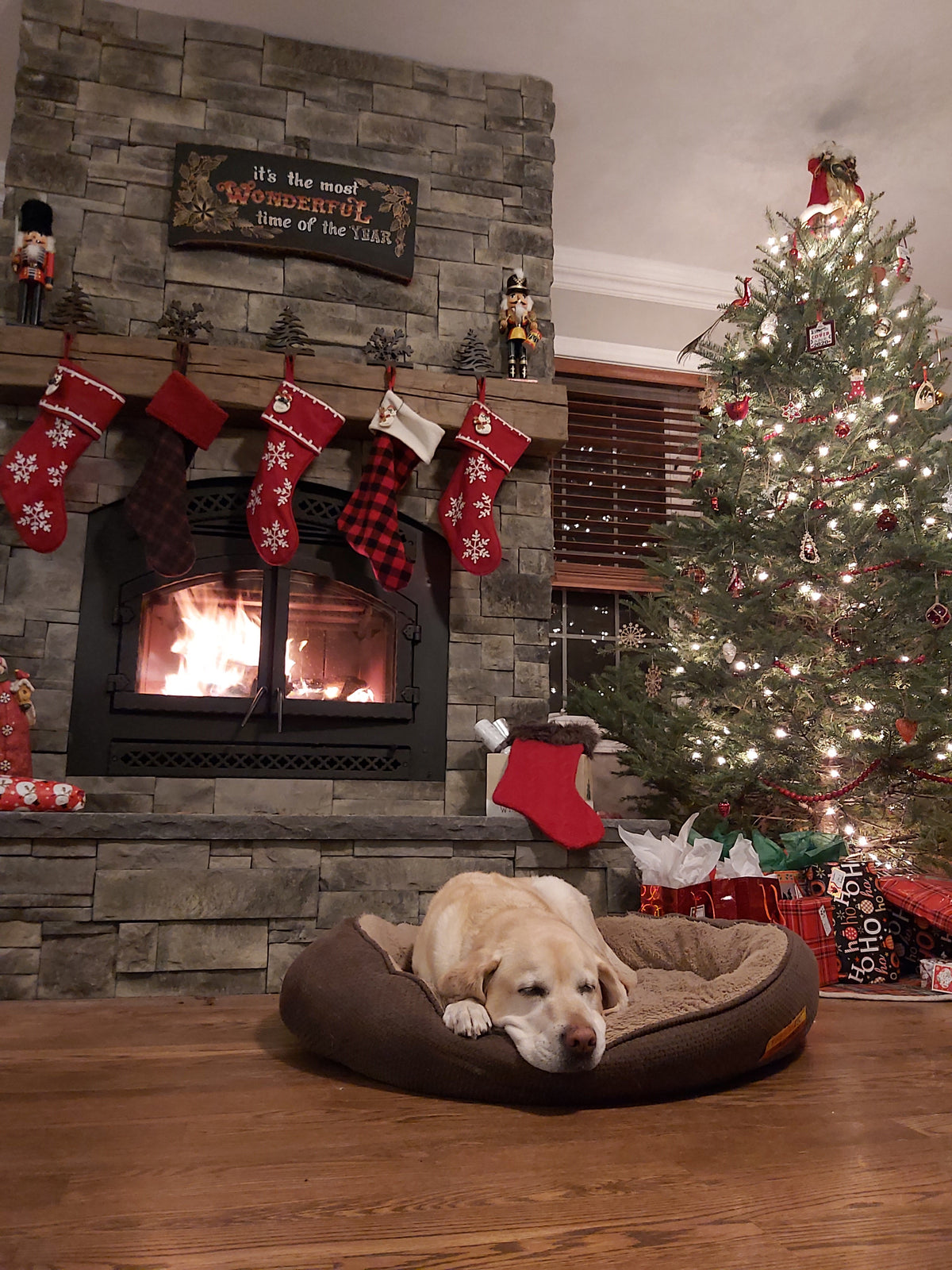 Heat u0026 Glo Northstar Wood Fireplace Install — Fireplaces Unlimited Heating  u0026 Cooling